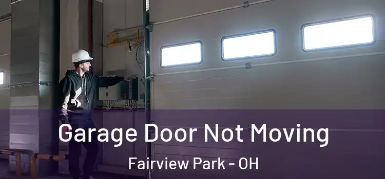  Garage Door Not Moving Fairview Park - OH